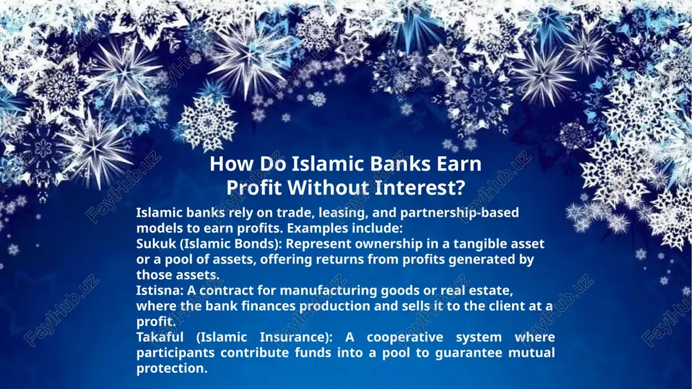 islamic banking principles - Page 5