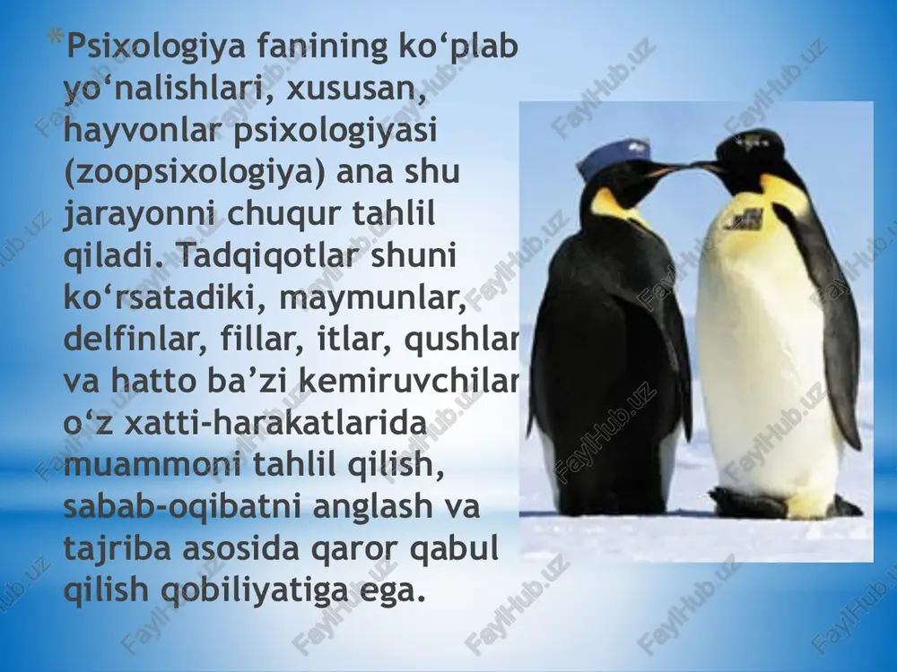 mahsulidir. hayvonlar olamida intellektual faoliyatning shakllanishi evolyutsion rivojlanish bilan chambarchas bog‘liq. oddiy nerv tizimiga ega bo‘lgan organizmlarda (masalan, gidralar yoki qurtlarda) faqat reflektor javoblar mavjud bo‘lib, bu holat hali intellektual jarayonlar darajasiga yetmagan. ammo umurtqali hayvonlar, ayniqsa, sutemizuvchilarda miya tuzilishining murakkabligi sezilarli darajada oshgan va bu intellektual xatti-harakatlarning rivojlanishiga zamin yaratgan. image1.jpeg image2.jpeg image3.jpeg image4.jpeg image5.jpeg image6.jpeg image7.jpeg image8.jpeg image9.jpeg image10.jpeg image11.jpeg image12.jpeg bir-03cj110-002 /docprops/thumbnail.jpeg
