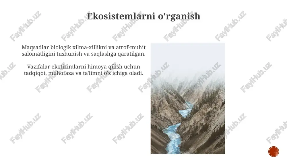ekologiya va tabiatni muhofaza qilish - Page 5