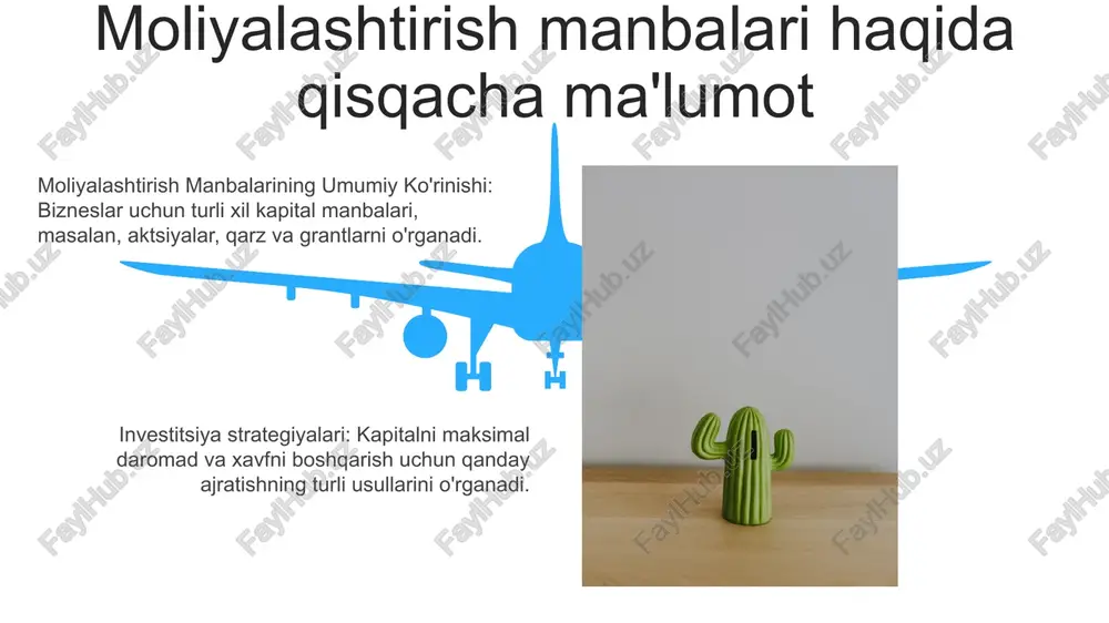 moliyalashtirish investitsiya faoliyatlari - Page 5