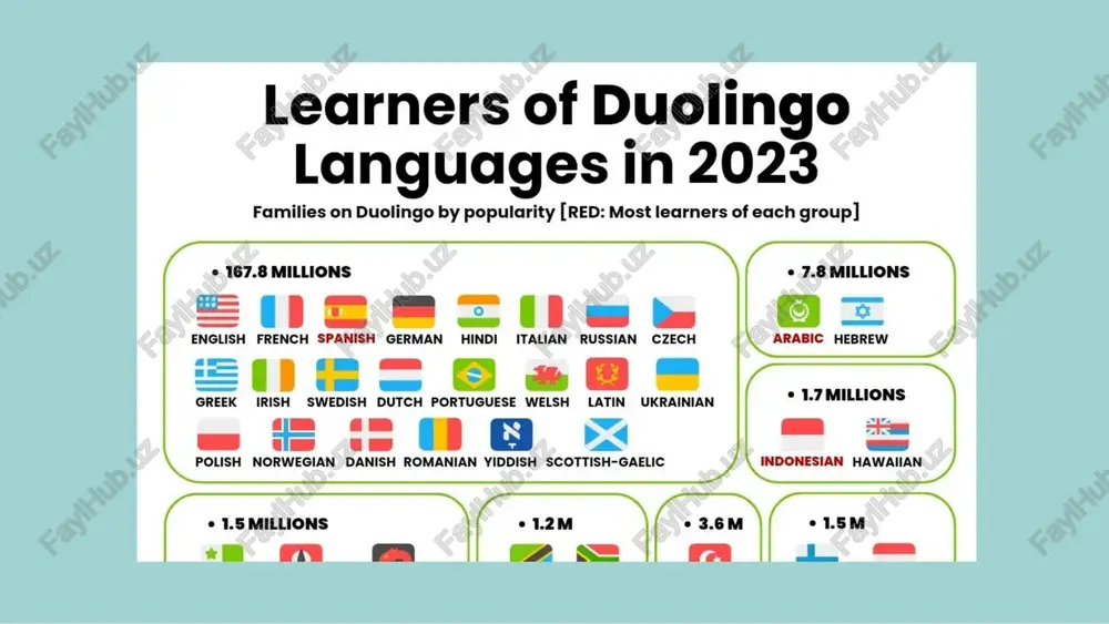 duolingo app - Page 5