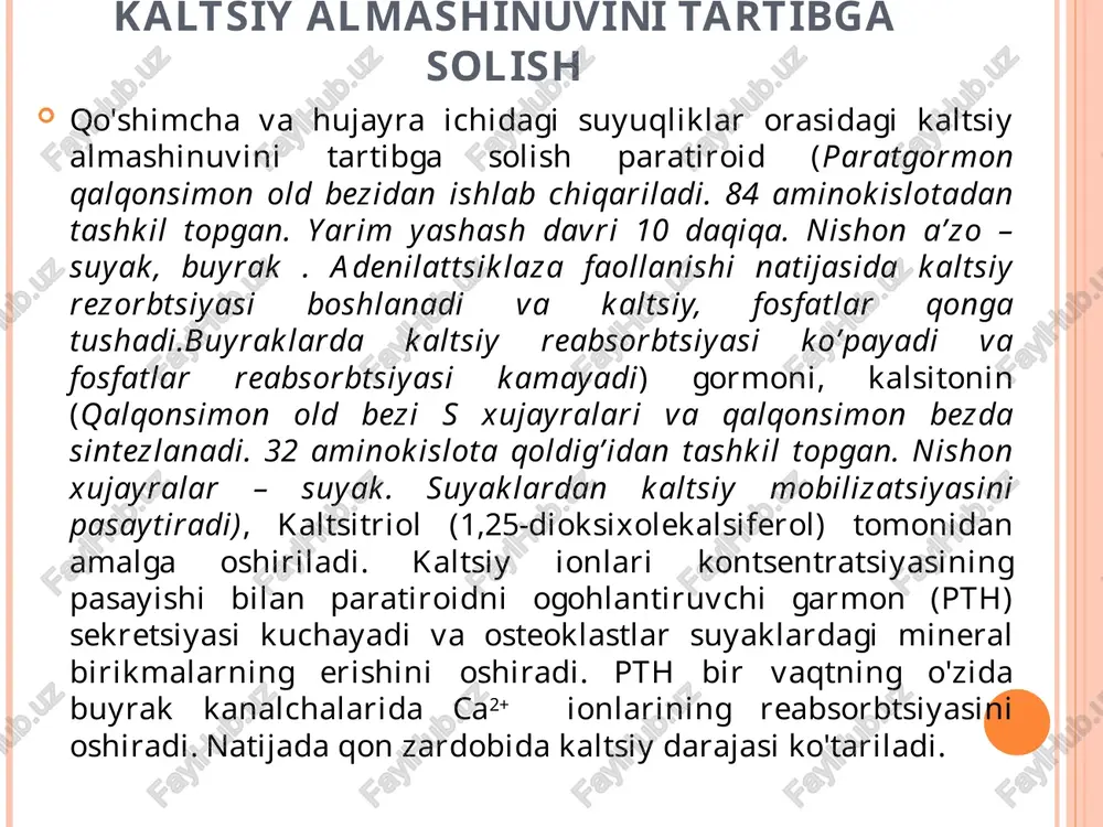 uniga 35 mmol kaltsiy kiradi, ammo faqat yarmi so'riladi, natriydan 50 baravar sekinroq, ammo temir, sink, marganetsdan ko'ra kuchliroqdir. so'rilish ingichka ichakda sodir bo'ladi (maksimal o'n ikki barmoqli ichakda 12). kaltsiy glyukonat va laktat eng yaxshi so'riladi. yutishning optimalligi ph=3,0 da kuzatiladi. kaltsiy yog 'va o't kislotalari bilan birlashadi va portal vena orqali jigarga kiradi. d vitamini enterotsitlar membranasi orqali qonga o'tishiga hissa qo'shadi.fosfatlar etishmasligi bilan so'rilishi kamayadi (kaltsiy/fosfor nisbati muhim). absorbtsiyaga na + kontsentratsiyasi, ishqoriy fosfataza faolligi, mg2+ -, ca2+ -atpase, kaltsiyni bog'lovchi oqsil tarkibi ta'sir qiladi. kaltsiy odatda tanadan ichak orqali chiqariladi. har kuni so'lak, oshqozon va oshqozon osti bezlari tomonidan ovqat hazm qilish kanaliga chiqariladi va taxminan 25 mmol ca2+ chiqariladi buyraklarda kuniga taxminan 270 mmol ca2+ filtrlanadi. buyraklarda filtrlangan kaltsiyning 90% qayta so'riladi, shuning uchun umuman siydik bilan oz miqdorda chiqariladi (qondagi kaltsiy kontsentratsiyasining oshishi bilan ajralib chiqish kuchayadi va buyrak toshlarining paydo bo'lishiga olib keladi). …