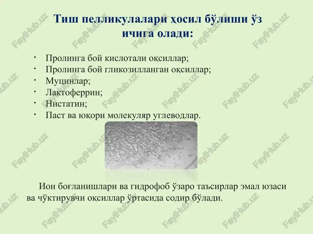 ini kuchaytiradi). 2. ishqoriy muhit hosil bo'ladi hamda kaltsiy va fosfatlarning yuqori konsentratsiyasi to'planadi, ya'ni kaltsiy tuzlarining cho'kishi va tish toshining paydo bo'lishi uchun sharoit yaratiladi. tish toshlari – bu tish yuzasida patologik erimaydigan hosil bo'lish noorganik moddalarni blyashka ichiga yotqizish, ya'ni uning minerallashuvi tish toshining hosil bo'lishiga olib keladi. tish yuzasida joylashishiga qarab, milk yuqorisi- va pastida tish toshlari mavjud. ular tarkibi bo'yicha o'xshash. tish toshining kimyoviy tarkibi tish toshining ko'p qismi kaltsiy (29-57%), noorganik fosfat (16-29%) va magniy (0,5%) bilan ifodalanadi. kaltsiy, fosfatlar va boshqa ionlarning manbai so'lakdir. oqsillar va aminokislotalar (glutamat, aspartat va boshqalar.); uglevodlar (fruktoza, galaktoza, glikozaminoglikanlar); lipidlar (asosan mikroorganizmlarning hujayra membranalarining parchalanishi paytida hosil bo'lgan glitserofosfolipidlar). erimaydigan yadro tish toshining shakllanishi blyashka bakteriyalarining faol hayotiy faoliyati organik kislotalarning (laktat, asetat, butirat va boshqalar) hosil bo'lishiga olib keladi), dissotsilanish protonlar kontsentratsiyasining oshishiga olib keladi. protonlar kaltsiy fosfat mitsellalarining tuzilishini buzadi (fosfat guruhlarini protonlaydi), kaltsiy ionlari mitselladan …