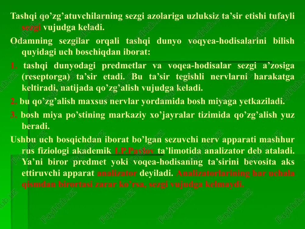 sezgilar - Page 5