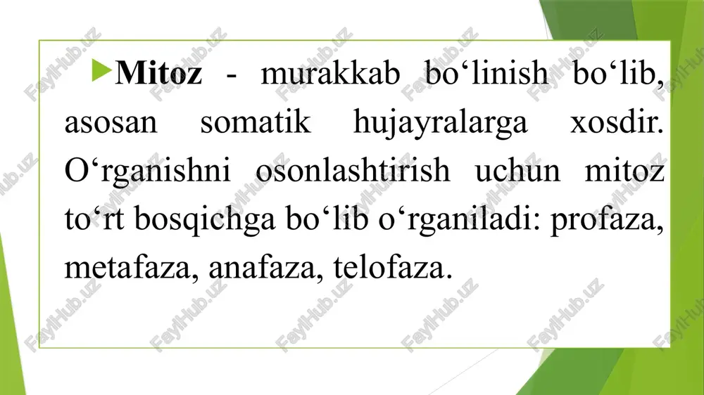 mitoz va meyoz sikllari - Page 5