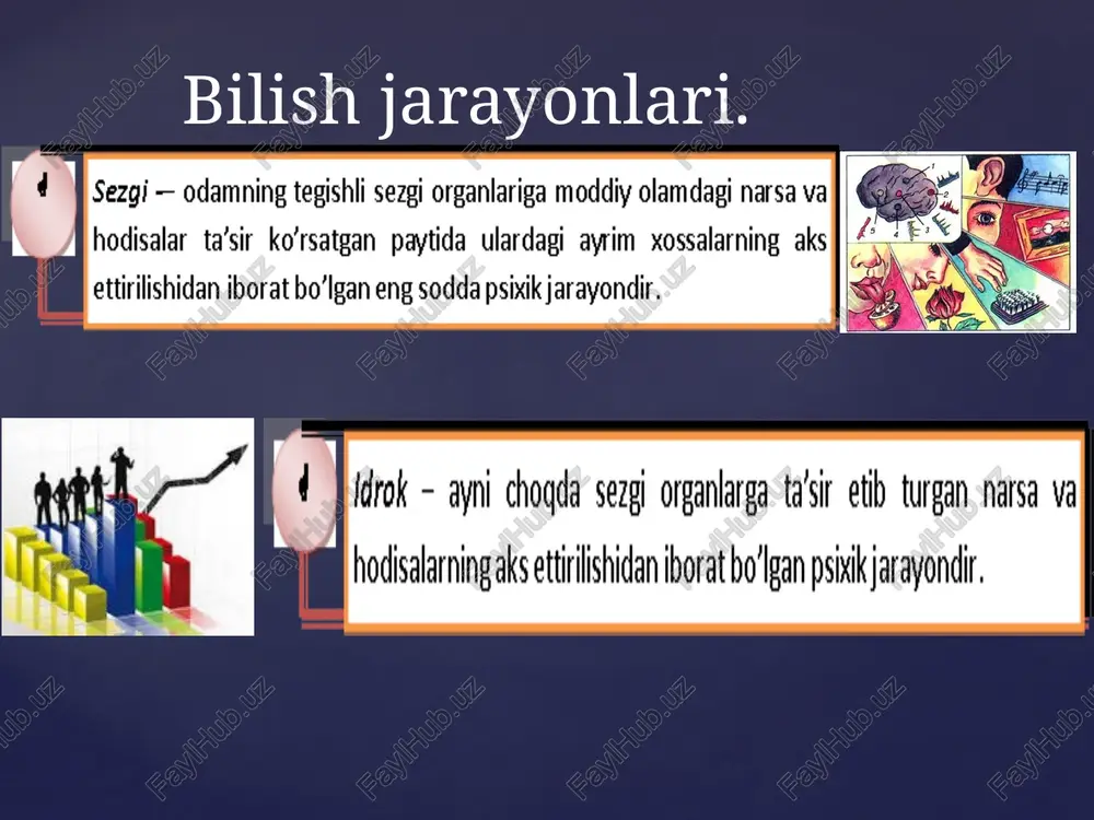 kasbiy faoliyatdabilish jarayonlari - Page 5