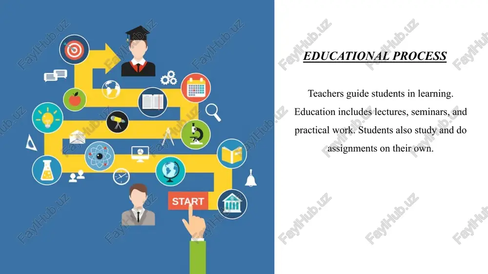 education. advantages of studying at the university, educational processes, forms, and stages of education. - Page 5