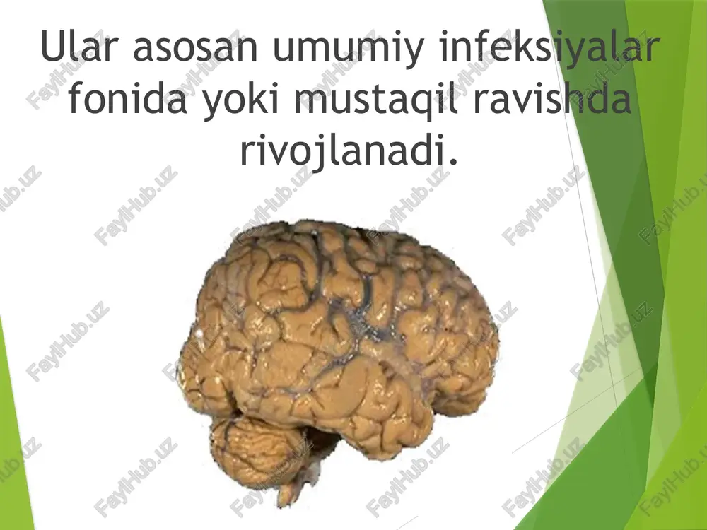 xususiy nevropatalogiya: bosh miyaning infeksion kasalliklari - Page 5