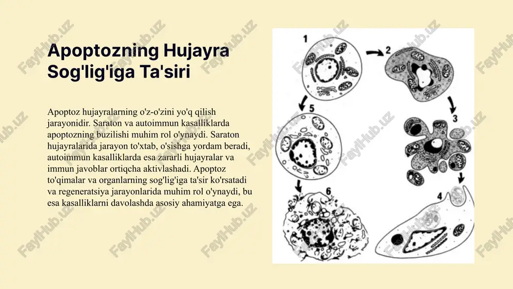 nligini xulosa qilamiz. e'tiboringiz uchun rahmat! designed by slides carnival image1.png image2.png image6.png image7.png image13.jpeg image14.jpeg image8.png image9.png image10.png image11.png image5.png image15.jpeg image16.jpeg image12.png