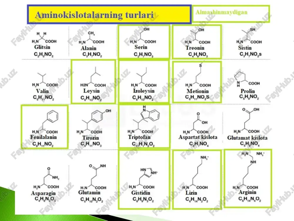 aminokislotalar biosintezi texnologiyasi - Page 5