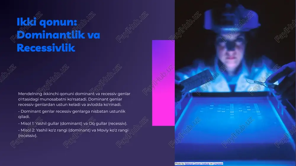 ijalar mendelning qonunlari asosida olingan bo'lib, genetik meros va irsiyatni tushunishda muhim ahamiyatga ega. ushbu qonunlar orqali genetik tadqiqotlarda yangi yo'nalishlar ochiladi. natijalar: grafiklar va diagrammalar tadqiqot natijalarini ko'rsatish uchun diagrammalar va grafiklardan foydalaniladi, masalan, f1 va f2 avlodlarining fenotipik taqsimoti ko'rsatilishi mumkin. birlamchi va ikkilamchi qonunlar: umumiy ko'rinish birlamchi va ikkilamchi qonunlarning umumiy tamoyillari. birlamchi qonun genlar o'rtasidagi merosni, ikkilamchi qonun esa genlar kombinatsiyasi va ularning ta'sirini belgilaydi. farq va o'xshashlik ikkala qonun ham meros mexanizmlarini tushuntiradi, ammo birlamchi qonun bitta genning, ikkilamchi esa bir nechta genlarning o'zaro ta'sirini ko'rsatadi. diagramma ikkita qonun o'rtasidagi o'zaro bog'lanishni ko'rsatadigan grafik. (grafik joylashtiriladi) natijalar ushbu qonunlar genetik tadqiqotlarda muhim rol o'ynaydi, chunki ular genlarning meros sifatida qanday o'tishini tushunishga yordam beradi. mendelning tadqiqotlari mendelning hayoti gregor mendel 1822 yilda avstriyada tug‘ilgan. u botanika va genetikaga asos solgan ilmiy faoliyati bilan tanilgan. o'simliklar ustida o'tkazilgan tajribalar mendel no'xat o'simliklari ustida tajribalar o‘tkazdi va …