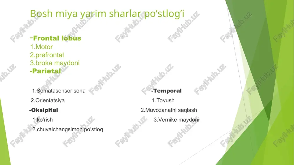 an va harakatlar kuchi kattaligi tezligi yo’nalishining buzilishi (dismetiya)dan iborat. mast kishiga o’xshab gandiraklab yurishda o’z ifodasini topgan. xulosa miyacha,oraliq miya va miya po’stlog’ining markaziy asab tizimining muhim tarkibiy qismlaridan bo’lib,organizmdagi hayotiy funksiyalarni boshqarishda muhim ro’l o’ynaydi. miyacha asosan harakatlarning muvofiqligini,muvozanat va mushaklar tonusini nazorat qilsa,oraliq miya sensor axborotni filtrlash,vegetativ tizimlarni boshqarish bilan shug’ullanadi.miya po’stlog’i esa oliy nerv faoliyati-ongli harakatlar,fikrlash o’ylash,xotira,emotsiya va sezgilarni idrok etish markazi hisoblanadi.ushbu tuzilmalar birgalikda insonning psixik,sensor-motor va vegetativ funksiyalarining uyg’unligini ta’minlaydi. foydalanilgan adabiyotlar o,t alyaviya, sh.q.qodirov, a.n.qodirov, sh,h.hamraqulov. e.h.halilov normal fiziologiya-2007 e’tiboringiz uchun rahmat