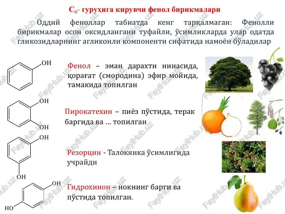 ydi. ularning miqdori o'simlikning yoshi va iqlim sharoitiga bog'liq. ular asosan o'simliklarning er ostki organlarida ko'p uchraydi. ko'pchilik tanninlar optik aktiv moddalar bo'lib, xavoda oson oksidlanadi. oqsillar va alkoloidlar bilan cho'kma beradi. suv, etanol, atseton, butanol kabi eituvchilarda eriydi, xloroform, benzol va efir kabi qutbsiz erituvchilarda erimaydi. og'ir metall tuzlari bilan rangli komplekslar beradi. tanninlar kapilyar qon tomirlarni mustaxkamlovchi, qon to'xtatuvchi, gipoksiyaga qarshi, antioksidant, rakga qarshi va boshqa faolliklarga ega. tanninlar asosan terini oshlashda, o'simlik xom ashyolarini biriktiruvchi, gemostatik, yallig'lanishga qarshi, bakteriotsid moddalar sifatida ishlatiladi. bundan tashqari tannin glikozidlarini alkaloidlar va og'ir metallar bilan zaharlanganda antipod sifatida ishlashi mumkin. e'tiboringiz uchun rahmat