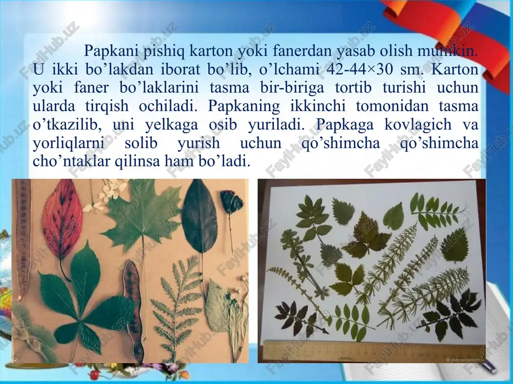 gerbariy tayyorlash usullari - Page 5