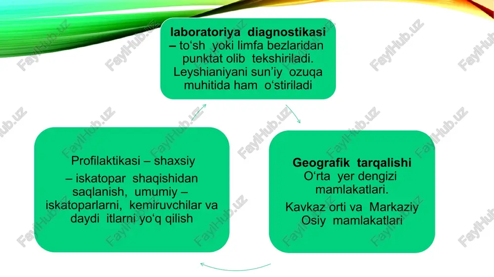 qaruvchi vakuol joylashgan. sitosom, sitofaringa va sitoprokt ham mavjud. asosan jinssiz, ko‘ndalangiga bo‘linishi yo‘li bilan ko‘payadi image2.png image3.png image4.png image5.jpg image6.jpg image7.jpg image8.jpg image9.jpg image10.jpg image11.png image12.png image13.jpg image14.jpg image15.png image16.png image17.png image18.jpg image19.jpg image20.png image21.jpg image22.jpg image23.png image24.jpg image25.jpg image26.png image27.jpg image28.png image29.jpg image30.png image31.png image32.png image33.jpeg image1.png /docprops/thumbnail.jpeg