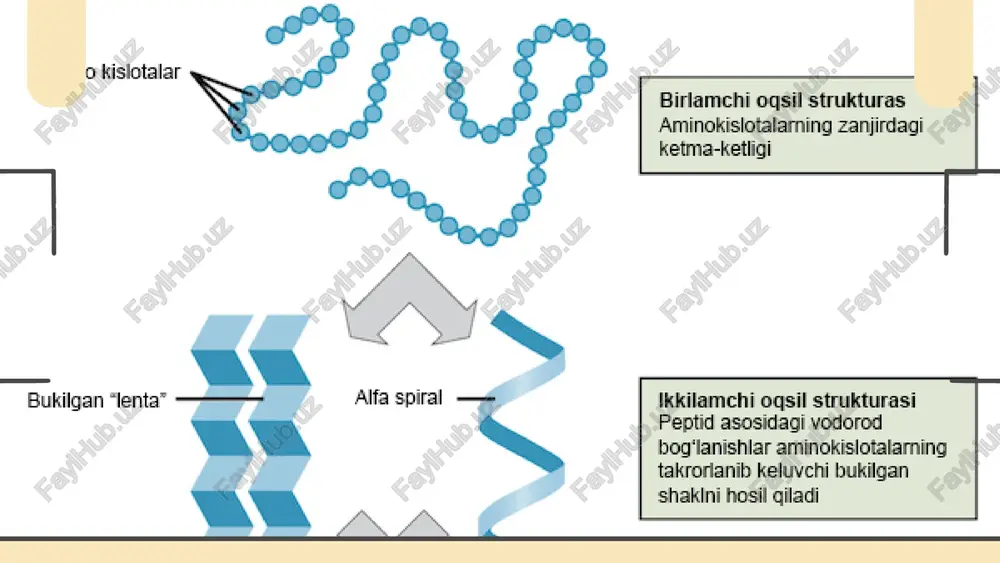 hayotning molekulyar asoslari - Page 5