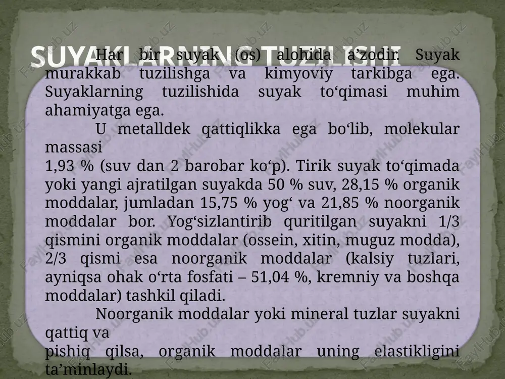 lib, suyaklarning alohida teshikchalaridan o'tib boradigan tolachalar vositasida suyaklar ustiga mustahkam yopishib turadi. periost ikki qavatdan, ya'ni tashqi qavat — tolali fibroz to'qimadan, ichki qavat—nerv va qon tomirlarga boy bo'lgan suyak hosil qiladigan qismdan iborat. qon tomirlari suyaklarga alohida oziq teshiklar orqali boradi. periostning ichki qavati suyaklarni eniga o'stiradi. suyaklar­ning bo'g'im hosil qiladigan sathi bo'g'im tog'aylari bi­lan qoplangan (bo'g'imlar haqidagi bobga qarang). periostenum suyaklarning rivojlanishi odam embrionida suyak to‘qimasi boshqa to‘qimalarga nisbatan kechroq, ona qornidagi hayotining 6–8 haftalarida mezenximadan paydo bo‘ladi. hamma suyaklar taroqqiyot davrida bir xilda rivojlanmaydi, ularning ba’zilari (kallaning qopqoq va yuz qismi suyaklari, o‘mrov) biriktiruvchi to‘qimadan taroqqiy etadi yoki ikki bosqichni (parda, suyak) o‘tadi. bular birlamchi suyaklar deb ataladi. boshqa suyaklar uch bosqichni (parda, tog‘ay, suyak) o‘tib ikkilamchi suyaklar deyiladi. suyaklar tasnifi naysimon suyaklar g`ovak suyaklar yassi suyaklar aralash suyaklar 1 - naysimon suyaklar uzun naysimon suyaklart kalta naysimon suyaklar yelka, bilak, son va boldir suyaklari, ya'ni …