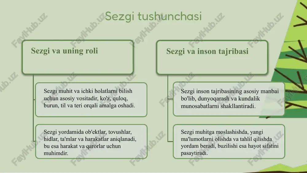sezgi va diqqat - Page 5
