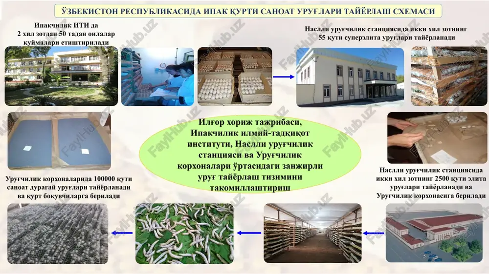 ipakchilik ilmiy-tadqiqot instituti - Page 5
