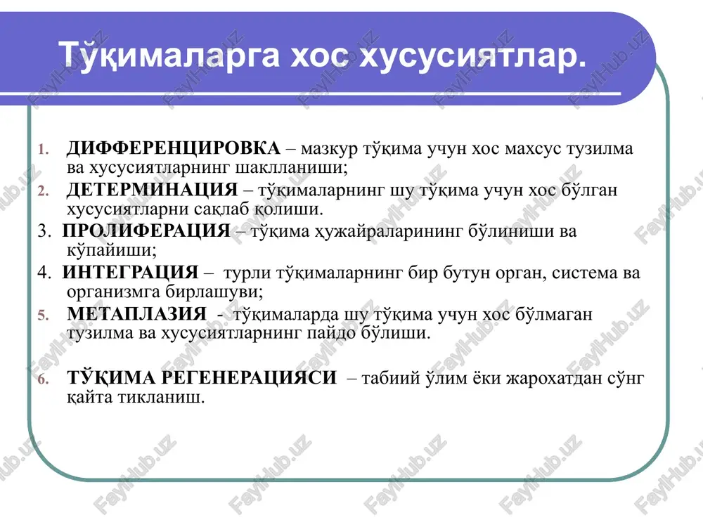 ezi)  golokrin (yog' bezi)  sekreti tabiatiga ko'ra  oqsil (me'da osti bezi)  shilliq (qadahsimon hujayra)  oqsil-shilliqli (so'lak bezi)  yog'li (yog' bezi) bir qavatli yassi epiteliy – mezoteliy (sxemasi) bir qavatli yassi epiteliy – mezoteliy. buyrakning yig'uvchi naychasidagi bir qavatli kubsimon epiteliy buyrak kanalchalaridagi bir qavatli kubsimon epiteliy : 1-hujayraning apikal qismi, 2- hujayraning bazal qismi, 3-yadro buyrak kanalchalaridagi bir qavatli tsilindrik epiteliy o't pufagidagi bir qavatli prizmatik epiteliy bir qavatli prizmatik epiteliy ingichka ichakning bir qavatli prizmatik jiyakli epiteliysi jiyakli enterotsit apikal qismining ultrastrukturasi-mikrovorsinka traxeyaning bir qavatli qo'p qatorli hilpillovchi epiteliysi kekirdakning bir qavatli qo'p qatorli kiprikli epiteliy: 1-kiprikli hujayra, 2-qadahsimon hujayra, 3-oraliq, 4-bazal, 5-endokrinotsit, 6-bazal membrana, 7-biriktiruvchi to'qima kiprikli hujayra apikal qismining ultrastrukturasi ko'p qavatli epiteliy tuzilish sxemasi 1 – bazal membrana, 7 – bazal qavat, 8 – oraliq qavat, 9 – yuza qavat, 10 – tikanaksimon qavat, 11 – donador qavat, 12 – …