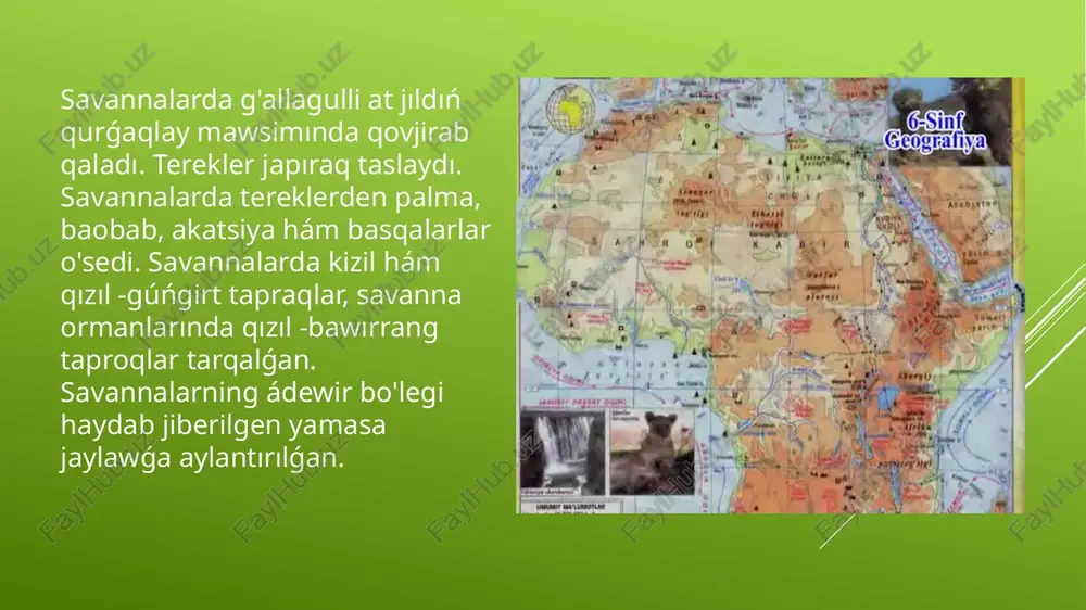 afrika topraqlari - Page 5