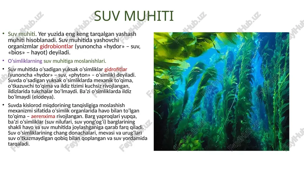 qsil, uglevod, yog‘larni o‘zlashtiradi. zamburug‘lar yog‘ochlik tarkibidagi sellulozani parchalaydi. bunday munosabatlar natijasida tog‘ jinslarining fizik va biokimyoviy xususiyatlari o‘zgarib, to‘xtovsiz ravishda tuproq hosil bo‘lish jarayoni sodir bo‘ladi evolutsiya jarayonida hayvonlarda tuproqda yashash uchun bir qancha moslanishlar paydo bo‘lgan. tuproqda hayot kechiruvchi hayvonlar tanasi birmuncha ixchamligi, pishiq va nam yuqtirmaydigan yoki shilimshiq modda bilan qoplangan teri qoplamiga egaligi, ko‘rish organlari rivojlanmaganligi bilan xarakterlanadi. ularda tuproqda harakatlanish uchun turli moslamalar rivojlangan. masalan, buzoqbosh va krotlar tuproqni qazib, o‘zlariga yo‘l ochib uya quradi. yomg‘ir chuvalchangi esa tuproq zarralarini surib o‘ziga yo‘l ochadi. yer qazuvchi hayvonlarning kuraksimon oyoqlari, yomg‘ir chuvalchangining tayanch funksiyasini bajaruvchi gidrostatik skeleti va tanasidagi tukchalari, hasharotlar va ko‘poyoqlilarning esa tirnoqlari tuproq muhitida yashashiga imkon beradi. tirik organizmlar yashash muhiti sifatida. tirik organizmlar parazit va simbioz hayot kechiradigan organizmlar uchun yashash muhiti hisoblanadi. tirik organizmlar – o‘simliklar, hayvonlar, shu jumladan, odam tanasi boshqa organizmlar uchun yashash muhiti bo‘lib xizmat qiladi. bir organizm …
