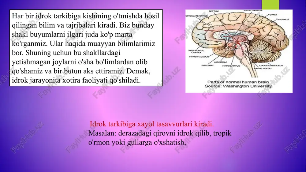 ara olmaydi. odam ko’p sonli qo’zg’ovchilardan faqat ayrimlarini aniq holda ajratib oladi. shu ajratib olingan narsa hodisalar esa fon sanaladi. idrok qilinadigan narsani o’rab turgan boshqa narsa, jism yoki hodisalarga nisbatan ob’ekt hisoblanib, ob’ektning atrofdagilari esa fou deyiladi. masalan, o’qituvchi bir darsda bir necha o ’quvchilardan so’raydi. har safar so’rayotganlami ko’radi. chaqirilgan o’quvchi uning javobi xatti-harakati idrok ob’ekti hisoblanadi. muayyan sharoitda shaxs tomonidan idrok qilinadigan narsa yoki jism idrokning ob'ekti deb ataladi. boshqa o’quvchilar faoliyati idrok foni bo’lib qoladi. idrok foniga kirgan o’quvchi javob berish uchun chaqirilib qolsa, idrok ob’ektiga aylanadi va aksincha. appersepsiya appersepsiya - idrok jarayonini shaxsning oldingi bilimlari, shaxsiy va ijtimoiy tajribalari, qiziqishlari, motivasiyasi, ehtiyojlari va odatlari, umuman ruhiy hayotining barcha mazmuni bilan belgilanishidir. appersepsiya hodisasi tufayli odamlar o’zaro idrokining mazmuni bilan bir-birlaridan muayyan darajada tafovutlanadilar, ya'ni ular aynan bir xil narsani uzining bilimi, saviyasi, nuqtai nazari, dunyoqarashi va ijtimoiy kelib chiqishiga asoslangan holda turlicha idrok qiladilar …