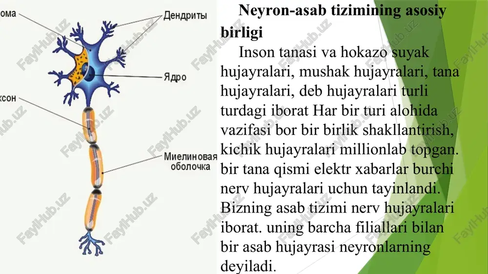 il rivojlanadi. ammo boshqa fe’l-atvorlar aynan maxsus muhitlarda ifodalanadi instinkt tushunchasining mazmuni. instinkt – bu organizmning tashqi va ichki ta'sirlarga binoan ongsiz, ammo avtomatik va tug'ma harakatlarining yig'indisidir. u ko'pincha hayvonlarning murakkab, irsiy xatti-harakatlarini, masalan, uyquga ketishi, ozuqa izlashi yoki uya qurishini o'z ichiga oladi. insonlarda instinktning mavjudligi haqida turli fikrlar bor; ba'zilar uni samosaqlash kabi tug'ma mayllar, boshqalar esa biron-bir fikslangan harakatlar dasturi deb hisoblaydi. hayvonlarning instinktlari turli xil ko‘rinishda namoyon bo‘ladi. ovqatlanish instinkti – hayvonlarning o‘zi va bolasi uchun ovqat qidirib topish, ovqat g‘amlash harakatlaridir. himoyalanish instinkti – hayvon o‘z hayotini va omonligini saqlash harakatlarida ifodalanib, u ikki ko‘rinishda sodir bo‘ladi. birinchisi dushmanga hujum qilish, ikkinchisi o‘zini himoya qilishdir. har bir hayvon dushmandan himoya qilish uchun biror organidan shoxlari, tuyoqlari, tish-tirnoqlari, tikanlari kabi yoki zaharli-hidli suyuqlikdan foydalanadi. masalan, afrika kobrasi o‘z zahrini 3,5 metr masofagacha ota oladi. insondagi kabi, hayvonlarda ham bilish xususiyatiga ega, ularga olamni oddiy hissiyotlar …