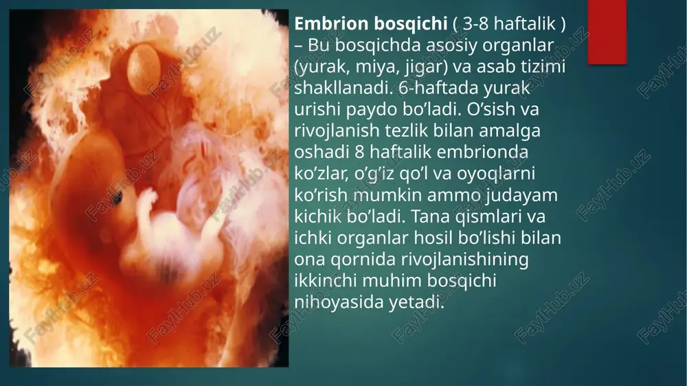 ontogenezning ilkbosqichlari dapsixik rivojlanish xususiyatlari - Page 5