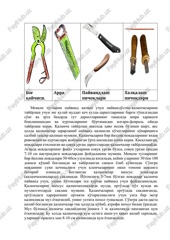 ilishi bilan qaziladi va xillanadi. bunda standart ko'chatlar (buyi 150 sm dan yuqori va ildiz bug'inining yo'g'onligi kamida 6 mm bo'lganlari) va voyaga etmaganlar (buyi 140 sm dan pastroqlari) alohida-alohida ajratiladi hamda qazilgan erning o'ziga yaxshilab ko'mib quyiladi. voyaga etmagan ko'chatlar erta ko'klamda ko'chatzorga ekilib, bir yil davomida parvarish qilinadi va shakl beriladi. standart ko'chatlar esa kuz yoki ko'klamda kolxoz va sovxozlarga sotiladi. 1984-1985 yildan boshlab ushbu qurilma va ko'kartirish texnologiyasi ishlab chiqarishga joriy etilib, o'zbekistonning ko'pchilik viloyatlaridagi tut ko'chatzorlarida qo'llanmoqda. bog' qaychisi. arra. payvandlash pichoqlari xalqalash pichoqlari mevali tutlarni payvand qilish uchun payvando'stni-qalamchalarini tayyorlash uchun eng qulay muddat kech kuzda-daraxtlarning bargi to'kilgandan so'ng va erta bahorda tut daraxtlarining tanasida shira harakati boshlanishidan va kurtaklarning bo'rtishidan ilgari-fevral oyida tayyorlash kerak. qalamcha tayyorlash vaqtida havo issiq bo'lishi shart, aks holda qalamchalar zararlanib payvand qilingan ko'chatlarning ko'karishiga salbiy ta'sir qilishi mumkin. qalamchalarni bir yillik novdalarning yaxshi rivojlangan kurtaklari joylashgan o'rta qismidan olish …