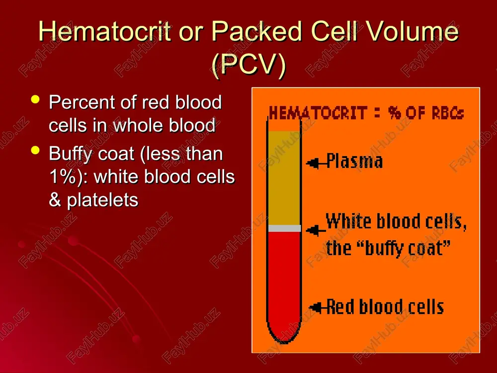 functions of blood - Page 5