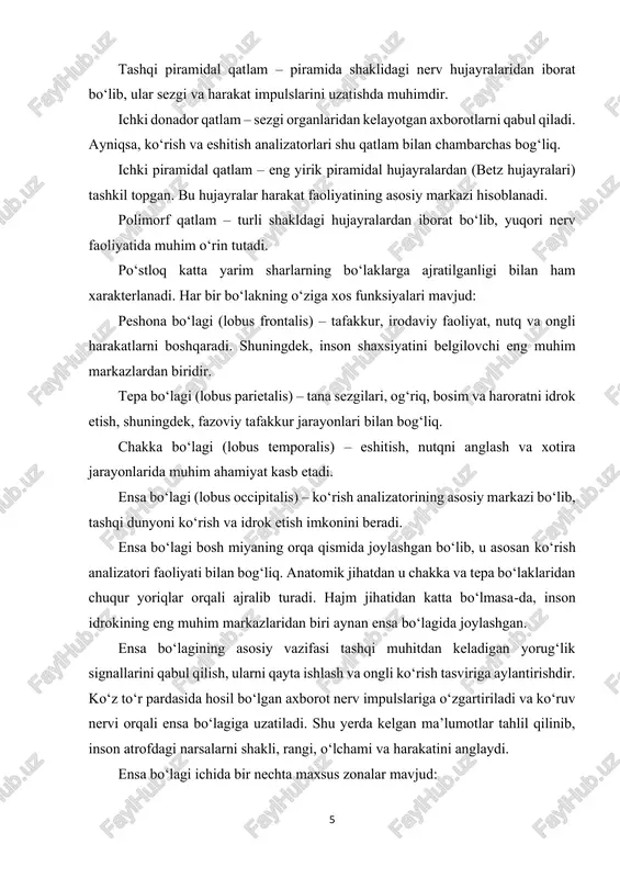 ʻining funksiyalari inson bosh miya poʻstlogʻi ongli faoliyatning markazi hisoblanib, uning vazifalari juda murakkab va turfa xildir. poʻstloq insonni boshqa tirik mavjudotlardan ajratib turuvchi eng muhim biologik va ijtimoiy xususiyatlarni ta’minlaydi. u nafaqat organizmning oddiy fiziologik jarayonlarini, balki tafakkur, nutq, xotira, idrok, ijodkorlik kabi yuqori darajadagi faoliyatlarni ham boshqaradi. avvalo, poʻstloqning eng muhim funksiyalaridan biri bu harakatlarni boshqarishdir. insonning barcha ongli harakatlari, mushaklarning muvofiqlashtirilgan faoliyati va murakkab motor ko‘nikmalari motor zonalari yordamida amalga oshadi. masalan, qo‘lni ko‘tarish, yurish, yozish yoki gapirish jarayonlarida motor neyronlari faoliyat ko‘rsatadi. bu neyronlarning maxsus hujayralari mushaklarga impuls yuborib, ularning qisqarishi va bo‘shashishini boshqaradi. po‘stloqning yana bir muhim vazifasi sezgi organlaridan kelgan axborotni qayta ishlashdir. ko‘rish, eshitish, hid bilish, ta’m sezish va teri sezgilari orqali tashqi dunyo haqidagi signallar po‘stloqqa uzatiladi. ensa bo‘lagi ko‘rish ma’lumotlarini qabul qilib, predmetlarning shakli, rangi va harakati haqida tasavvur hosil qiladi. chakka bo‘lagi eshitish signallarini qayta ishlaydi, tovushlarni anglash, nutqni tushunish …