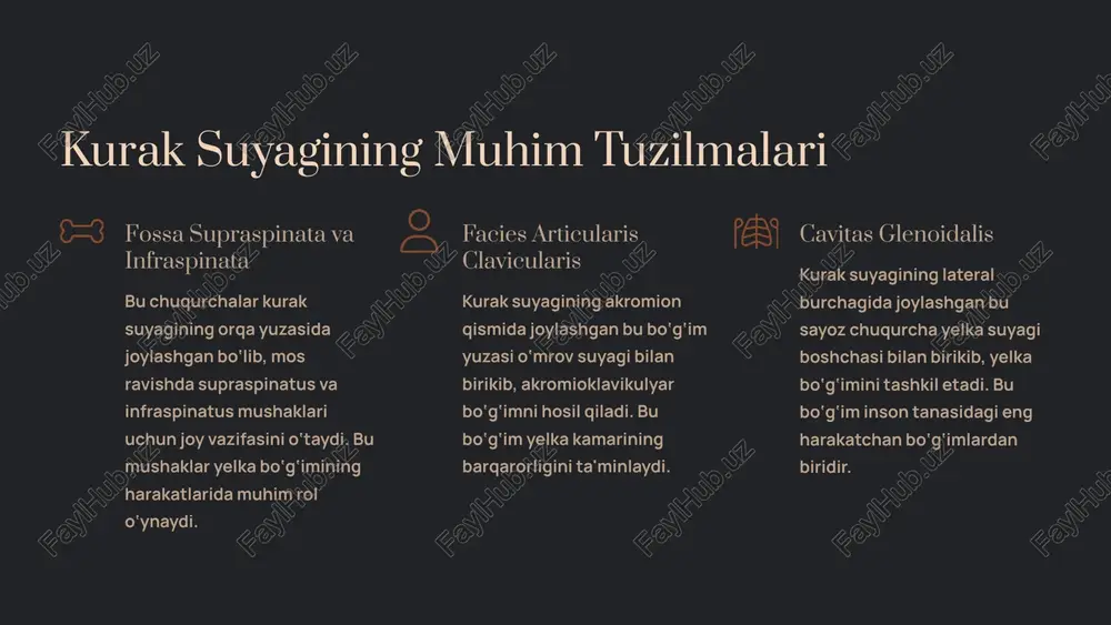 yelka, o‘mrov, kurak va qo‘l suyaklari anatomiyasi - Page 5