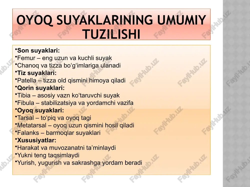 x-shakli (valgus), o-shakli (varus) qiyshayishlar belgilar: noto‘g‘ri yurish, og‘riq, bo‘g‘imlarda zo‘riqish sabablari: genetik omillar, noto‘g‘ri oyoq kiyimlari, ortiqcha yuk oldini olish: maxsus mashqlar, to‘g‘ri oyoq kiyimlari, muntazam tibbiy tekshiruv davolash: fizioterapiya, ortopedik vositalar, og‘ir hollarda jarrohlik aralashuv osteoporoz va suyak mustahkamligi osteoporoz – suyak zichligining pasayishi va suyaklarning sinish xavfining oshishi bilan tavsiflanadi. asosiy punktlar (bullet points): sabablari: yoshga bog‘liq zichlik pasayishi, vitamin d va kalsiy yetishmovchiligi ta’siri: chanoq va oyoq suyaklari zaiflashadi, sinish xavfi oshadi oldini olish: muntazam sport va jismoniy mashqlar sog‘lom ovqatlanish: kalsiy va vitamin d bilan boy ovqatlar davolash: zarur bo‘lsa tibbiy preparatlar va fizioterapiya chanoq va oyoq suyaklarini rivojlantirish mashqlari chanoq va oyoq suyaklarini mustahkamlash va rivojlantirish uchun jismoniy mashqlar muhim ahamiyatga ega. asosiy punktlar (bullet points): yugurish va sakrash: suyak zichligini oshiradi, bo‘g‘imlarni mustahkamlaydi velosiped minish: oyoq suyaklarini rivojlantiradi, mushaklarni mustahkamlaydi tizzani egish va cho‘zish mashqlari: bo‘g‘imlar harakatchanligini oshiradi muvozanat mashqlari: chanoq va oyoq …