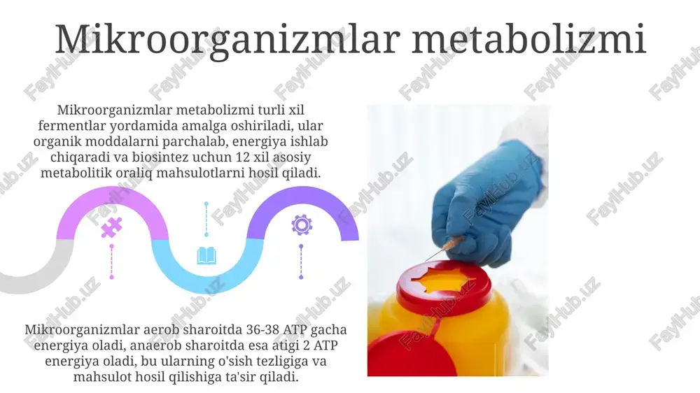 mikroorganizmlardan zarur moddalar sintezlab olish - Page 5