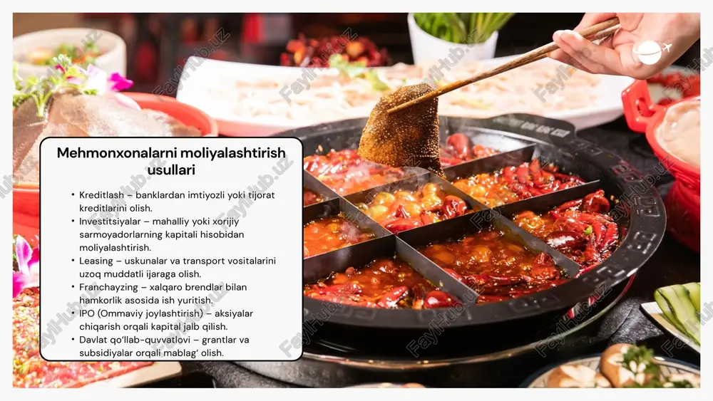 mehmonxonalarni moliyalashtirish yo‘llari va usullari - Page 5