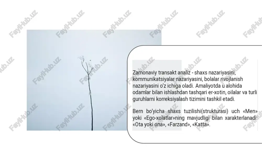 transaktanaliz(e.bern) - Page 5