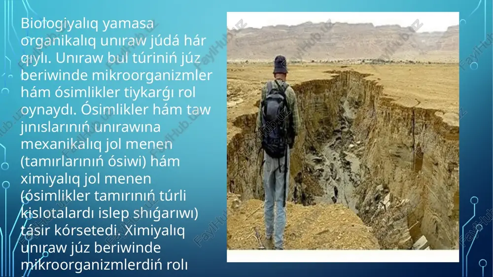 iliwi hám juwılıwı nátiyjesinde payda boladı. suw tásirinde jerdiń maydanında oqpanlar payda boladı. bir kdncha waqıttan keyin bul oqpanlar jemirilip jarlıqlar payda boladı ózbekstannıń suwǵarılatuǵın dıyxanshılıq zonasında suw erroziyası ıǵallıq menen jetkilikli támiyinlengen (jıllıq jawınsochin muǵdarı 350-400 mm den joqarı ) hám yarım támiyinlengen (jıllıq yoginsochin muǵdarı 200-300 mm) jawınnan suw ishetuǵınkor jerlerde hám de tipik hám toq tusli sur topraqlarda, tolıq emes taw aldı hám taw etagi qıyalarında (mas., tashkent, samarqand, qashqadárya hám surxondaryo wálayatlarında ; ulıwma maydanı 969, 4 mıń ga) tarqalǵan. samal erroziyası (deflyatsiya) 2 qıylı boladı : tezligi onsha úlken bolmaǵan samaldıń topıraq mayda bólekshelerin uchirib ketiwinen kelip shıǵıwshı ápiwayı hám úlken tezliktegi samal sebepli vujudga keliwshi shańlı dúbeley. samal erroziyası suwǵarılatuǵın jerlerge úlken zıyan jetkeredi (oraylıq ferǵana, buxara oazisi, qarsı shóli, qaraqalpaqstandıń batıs zonalarında, um. maydanı 1, 8 mln.ga). samal erroziyasına, relyefden qaramastan, tiykarlanıp bir jóneliste bolsatuǵın kúshli samal, topıraqtıń jeńil mexanik quramı hám kebirlanganligi, …