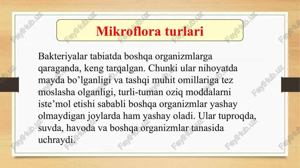 havo mikroflorasi - Page 5