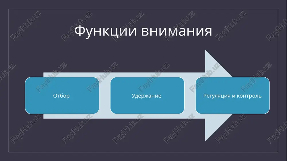 prostie psixicheskie protsessi. vnimanie - Page 5