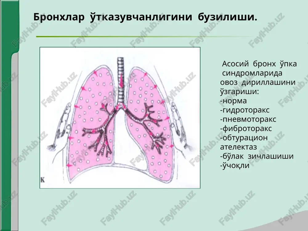 respiratory system diseases - Page 5