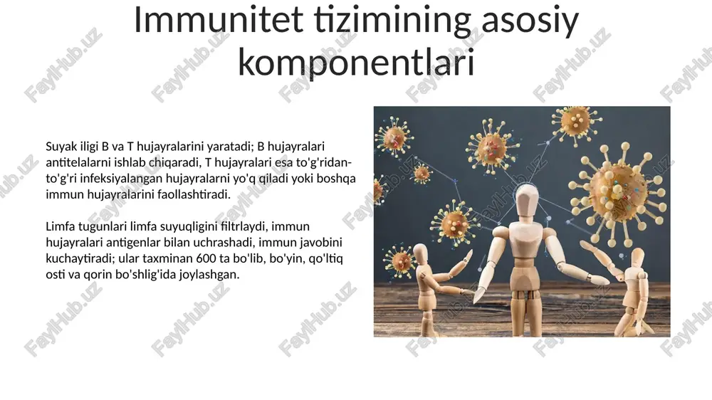 immunitet va uning turlari - Page 5