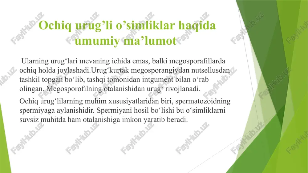 ochiqurug’lio’simliklar haqida umumiy ma’lumot - Page 5