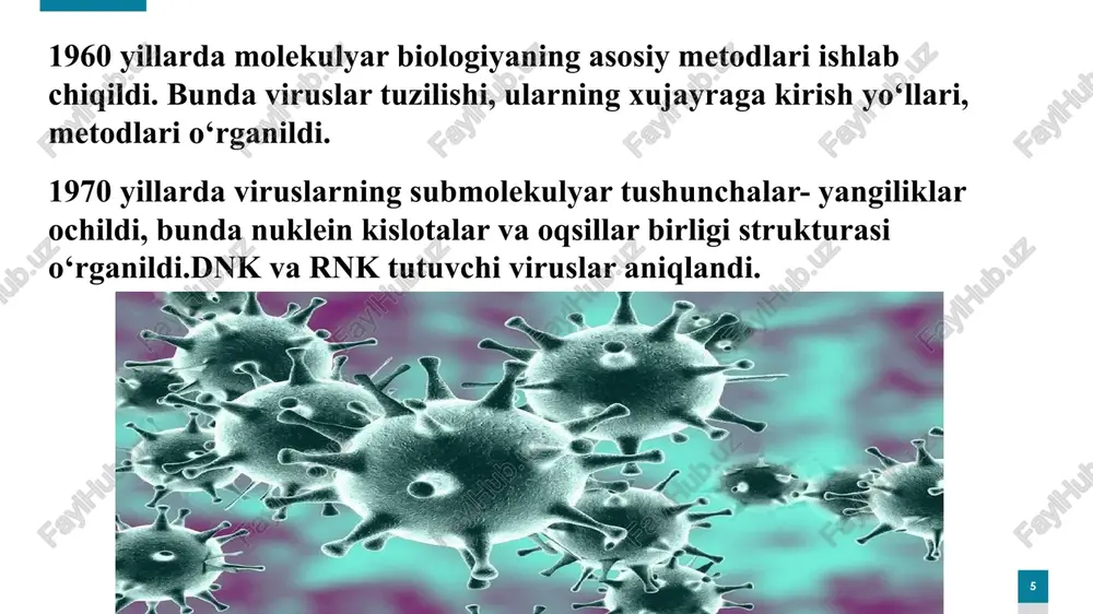viruslar va bakteriyalartuzilishi - Page 5