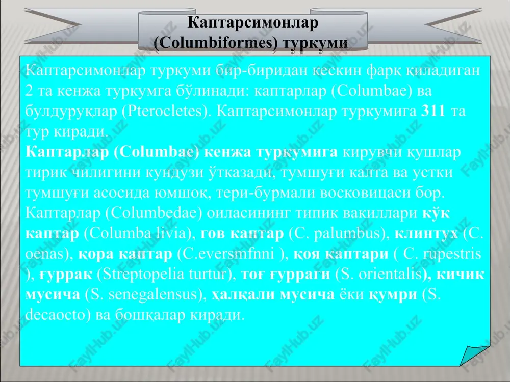 iliosus) uchraydi. ular iyul – avgust oylarida gala-gala bo'lib uchib yuradi. oktyabrda janubiy afrikaga uchib ketadi. mayning o'rtalarida 5-6 tadan tuxum qo'yadi. kurkunaklar (meropidae) oilasi tilla rang kurkunak ko'k kurkunak oila vakillari o'rmonda daryo va ariq qirg'oqlarida uchraydigan mayda qushlar.. ko'ktarg'oqlar oilasiga 88 ta tur kiradi. mdh da 6 ta turi, jumladan o'zbekistonda 1 ta turi uchraydi. may oyining boshlarida suv bo'yida lyoss tuproqli jarliklarga, termitlar uyasiga va daraxtlarga uya quradi. 2-7 ta dan tuxum qo'yadi. tuxumini 21 kun bosadi. tipik vakili havorang ko'ktarg'oq (alcedo atthis) hisoblanadi. o'zbekistonda havorang ko'ktarg'oq barcha daryo va ariqlar bo'yida uya quradi. ko'ktarg'oqlar (alcedinidae) oilasi havorang ko'ktarg'oq oila vakillari ham ko'kqarg'asimonlar turkumga kirib, ular osiyo va afrikaning tropik o'rmonlarida yashaydi. tanasining uzunligi 50 sm dan 165 sm gacha, vazni esa 15 g dan 4 kg gacha boradi. karkidon qushlarning dumi uzun, barmoqlari bir-biriga birikkan. 45 ta turi bor. ho'l mevalar va hasharotlar bilan oziqlanadi. daraxt …