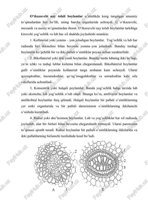 o’tkazuvchi to’qimalar - Page 5