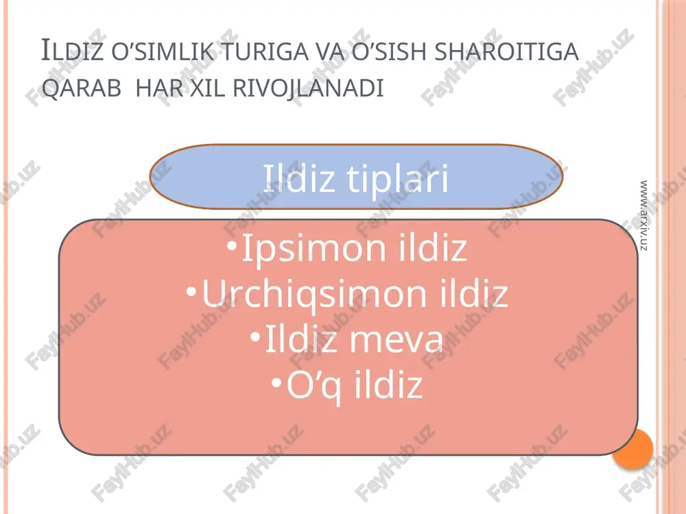 ildizmetomorfozivauninganatomiktuzilishi - Page 5