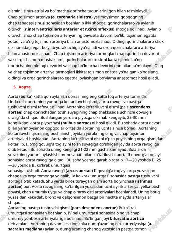 yarimoysimon qopqoqning o'ng tabaqasi sinusi sohasidan boshlanadi. o'ng quloqcha ostidan o'tib toj egatda yotadi. yurakning o'ng o'pka yuzasini aylanib otib, uning orqa yuzasi bo'ylab chapga yo'naladi va chap tojsimon arteriyaning aylanib o'tuvchi shoxi bilan anastomozlashadi. uning yirik tarmog'i orqa qorinchalararo shox — r.interventricularis posterior o'z nomidagi egat bo'ylab yurak uchigacha boradi. o'ng tojsimon arteriya taimoqlari o'ng bo'lmacha va qorincha devorini, o'ng qorincha so'rg'ichsimon mushaklarini, qorinchalararo to'siqning orqa qismini, sinus-atrial va bo'lmacha-qorincha tugunlarini qon bilan ta’minlaydi. chap tojsimon arteriya (a. coronaria sinistra) yarimoysimon qopqoqning chap tabaqasi sinusi sohasidan boshlanib ikki shoxga: qorinchalararo va aylanib o'tuvchi (r.interventricularis anterior et r.circumflexus) shoxga bo'linadi. aylanib o'tuvchi shox chap tojsimon artenyaning bevosita davomi bo'lib, tojsimon egatda yotadi va o'ng tojsimon arteriya bilan anastomozlashadi. oldingi qorinchalararo shox o'z nomidagi egat bo'ylab yurak uchiga yo'naladi va orqa qorinchalararo arteriya bilan anastomozlashadi. chap tojsimon arteriya tarmoqlari chap qorincha devorini va so'rg'ichsimon mushaklami, qorinchalararo to'siqni katta qismini, o'ng qorinchaning …