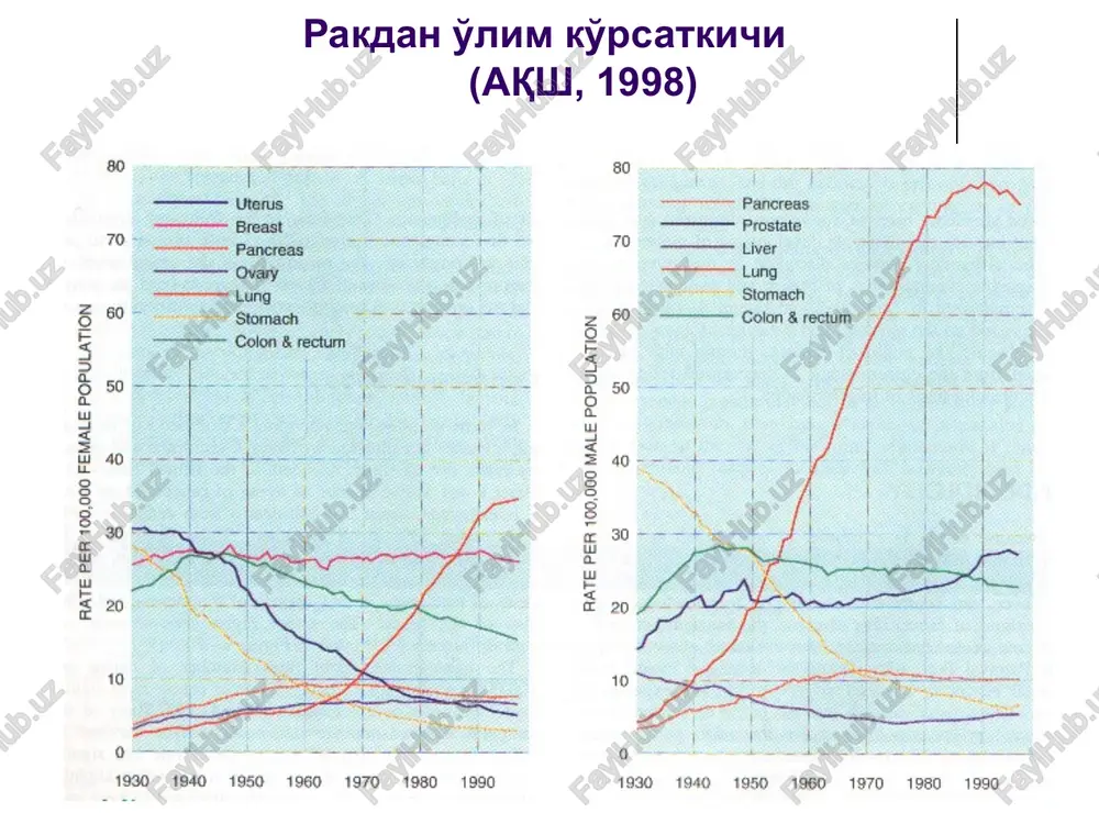 kletki iz fazi go ili gi v mitoz r53 kantserogenezda o'rni ma'lumki, r53, rb kabi, dnk replikatsiyasini, xujyara proliferatsiyasini va o'limini nazorat qiluvchi yadroviy fosfoproteid xisoblanadi. aynan bular, genetik shikastlangan xuyjayralarning tarqalishiga to'sqinlik qiladi degan taxmin bor. normada bu genning biologik yashash yarimdavri xujayra tsiklida daqiqalar davomida kechadi, ammo uning xujayra bo'linishida qatnashganligi to'g'risida isbotlar yuq. lekin xujayra mutagen ta'sirga uchragandagina uzining posttranslyatsion modifikatsiyasi orqali stabilizatsiyalanadi va yadroda to'planadi. apoptozni boshqaruvchi genlar bsl-2 genida funktsiyasi bilan birgalikda joylashuvi xam o'zgacha: mitoxondriylarning ichki membranasida, yadro qobig'ida, endoplazmatik to'rning tsisternalarida. ko'p xolatlarda apoptoz kislorodning reaktiv shakli bilan chaqirilgan letal shikastlanish natijasida rivojlanadi, bsl-2 esa antioksidant tizimni boshqarish orqali apoptozni tuxtatadi. ko'p bosqichli kantserogenezni molekulyar asoslari xavfli o'smalar bosqichma-bosqich rivojlanadi: ximiyaviy kantserogenez bir necha bosqichda kechadi – initsiatsiya xujayralar genomining o'smalarga transformatsiyalanishini boshlanishi, promotsiya – o'sma fenotipini amalga oshishi va o'smalar o'sish jarayonini progressiyalanishi. onkogenlar va supressor genlar to'g'risidagi ta'limotni paydo bo'lishi, kantserogenezni …