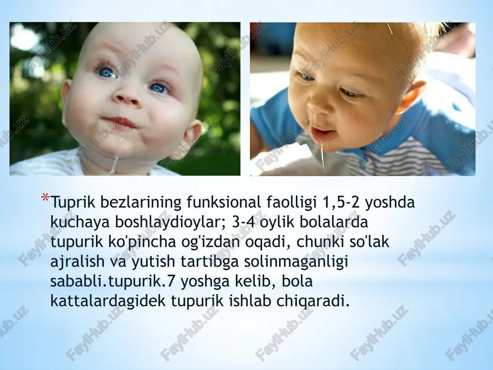 qilishning o'ziga xos xususiyatlariamal qiladiyuqori rivojlanishpinotsitoz epiteliositlarichak shilliq qavati, buning natijasida hayotning birinchi haftalaridagi bolalarda sut oqsillari biroz o'zgargan shaklda qonga o'tishi mumkin. yo'g'on ichak u n/ro'rtacha uzunligi 63 sm. u n/rto'ldirish qutisi yo'qjarayonlar,yo'g'on ichakning chiziqlari zo'rg'a aniqlangan,gaustrayo'g'on ichak bolalardagi yo'g'on ichakning shilliq qavati bir qator xususiyatlar bilan ajralib turadi: chuqurlashgan kriptlar, tekisroq epiteliy, uning ko'payish tezligi yuqori. ko'richakn / r da u konusning yoki huni shaklidagi shaklga ega, baland joylashgan, kengligi uzunligidan ustun turadi, tutqich harakatchan.ileotsekalteshik halqa yoki uchburchak, bo'shliq. vermiformn / r yaqinidagi jarayon konusning shakliga ega, unga kirish keng ochiq (klapan hayotning birinchi yilida shakllanadi), mobil. yangi tug'ilgan chaqaloqda uning uzunligi taxminan 5 sm, 1 yoshda - 7 sm, 1 yoshdan 10 yilgacha uzunligi atigi 1-2 ga oshadi.sm. keyintug'ilganda appendiksda limfoid follikullar paydo bo'lib, 10-14 yoshga kelib maksimal rivojlanish darajasiga etadi. dabolalarda jarayondagi mushak qatlami zaif ifodalangan. yo'g'on ichakhalqa shaklida ingichka ichakning ilmoqlarini o'rab oladi. ning ko'tarilgan …